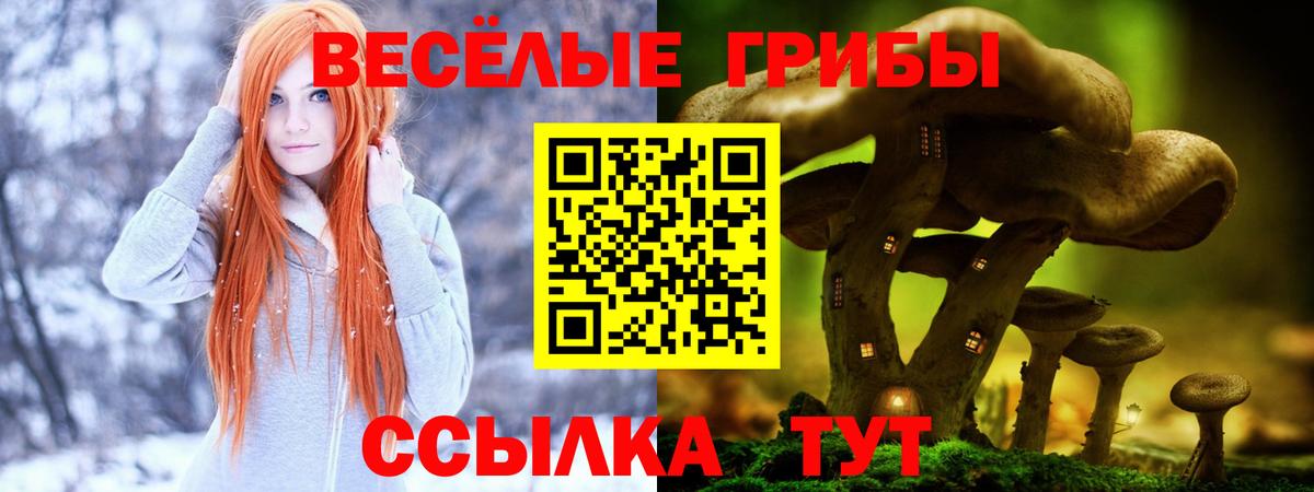 дарнет шоп  Вход с VPN  Псилоцибиновые грибы GOLDEN TEACHER  Орехово-Зуево  Псилоцибиновые грибы мухоморы 